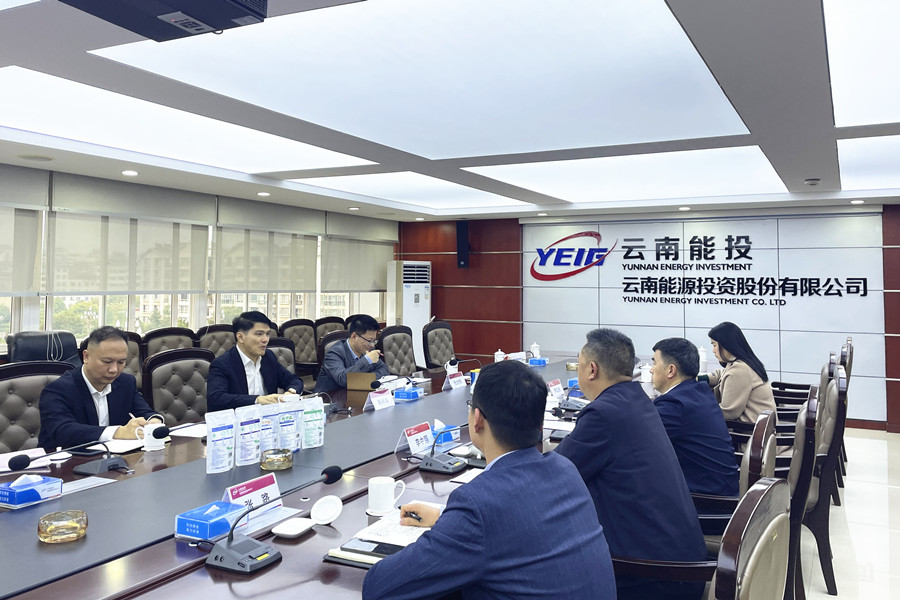 廣鹽集團(tuán)與能投股份座談交流