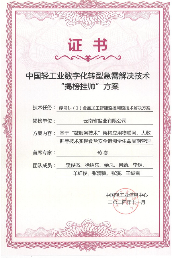 中國輕工業(yè)數(shù)字化轉型領跑者案例證書_00_副本.jpg